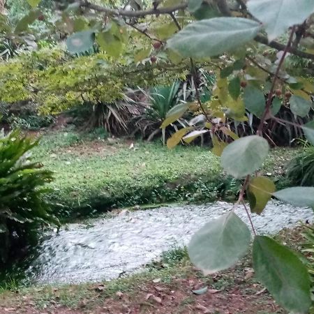 塞尔莫内塔La Bella Ninfa住宿加早餐旅馆 外观 照片
